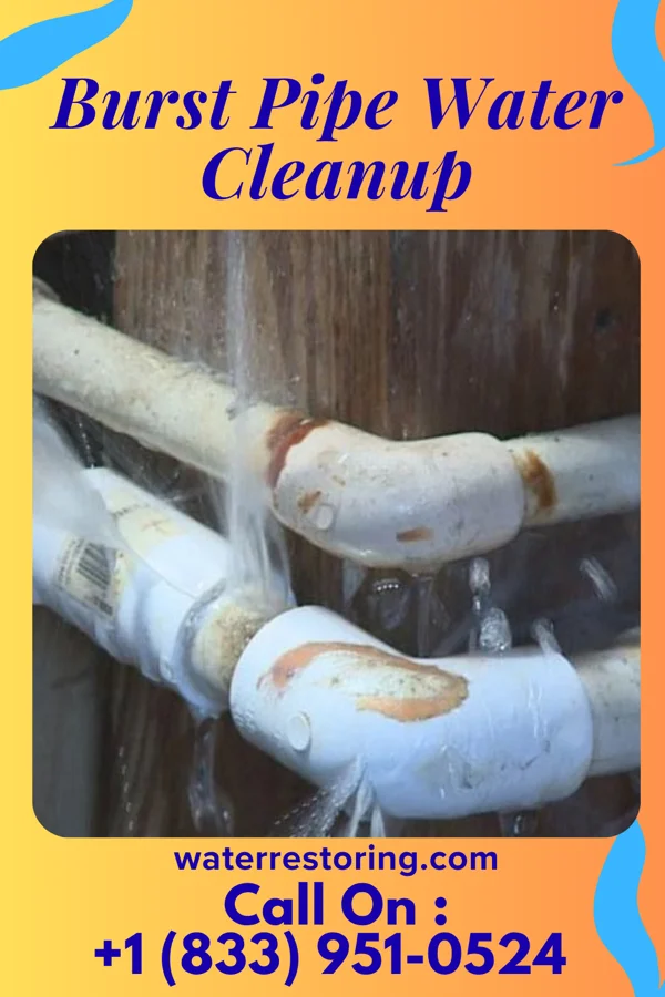 Burst Pipe Water Cleanup in Bairoil, WY