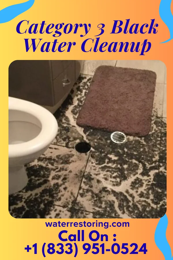 Category 3 Black Water Cleanup in Bairoil, WY