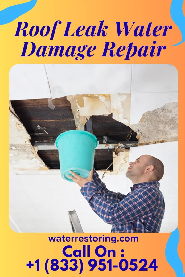 Roof Leak Water Damage Repair in Bairoil, WY