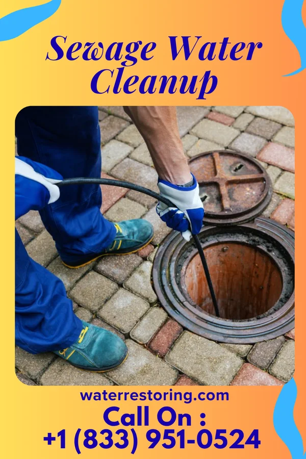 Sewage Water Cleanup in Bairoil, WY