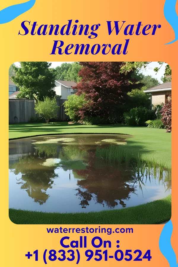 Standing Water Removal in Bairoil, WY